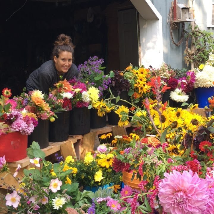 Farm Flower Boxes Arrive Next Week... June 8, 2018 - Bloomfields