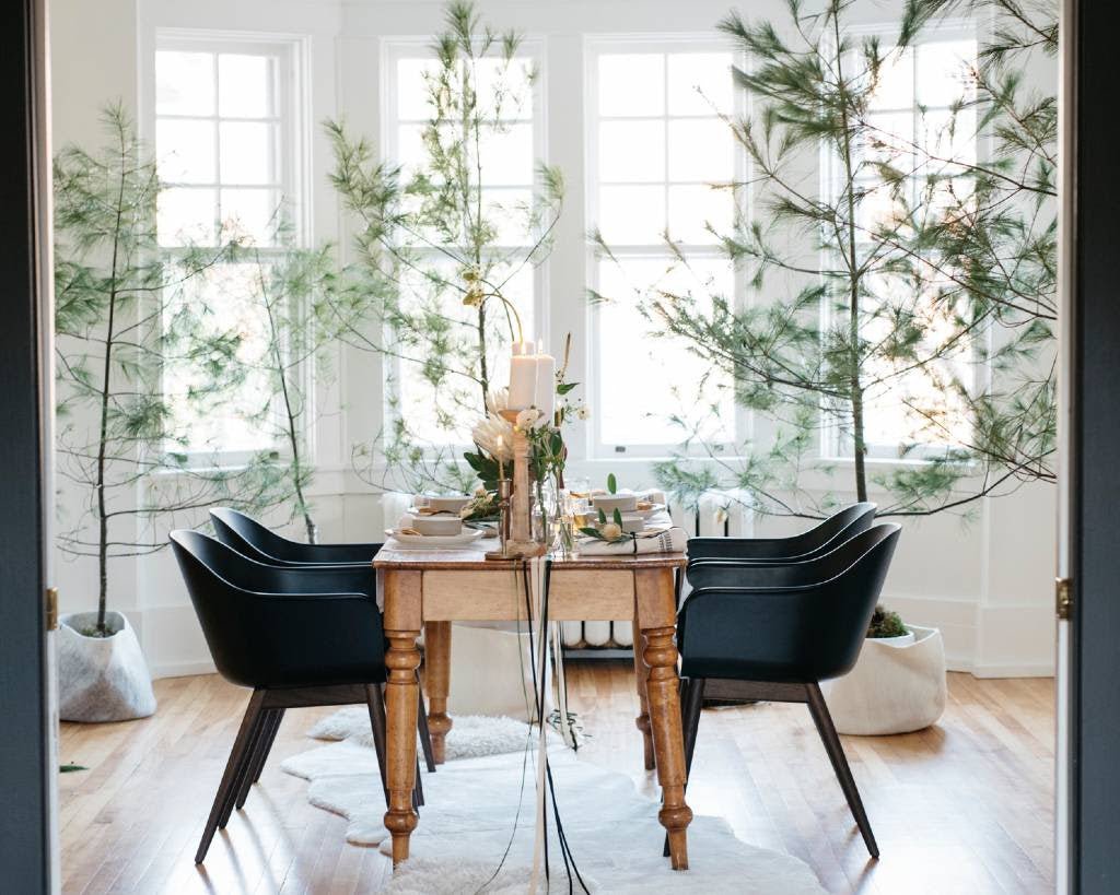 Winter Woods inspiration this Holiday Season... Dec 2, 2020 - Bloomfields