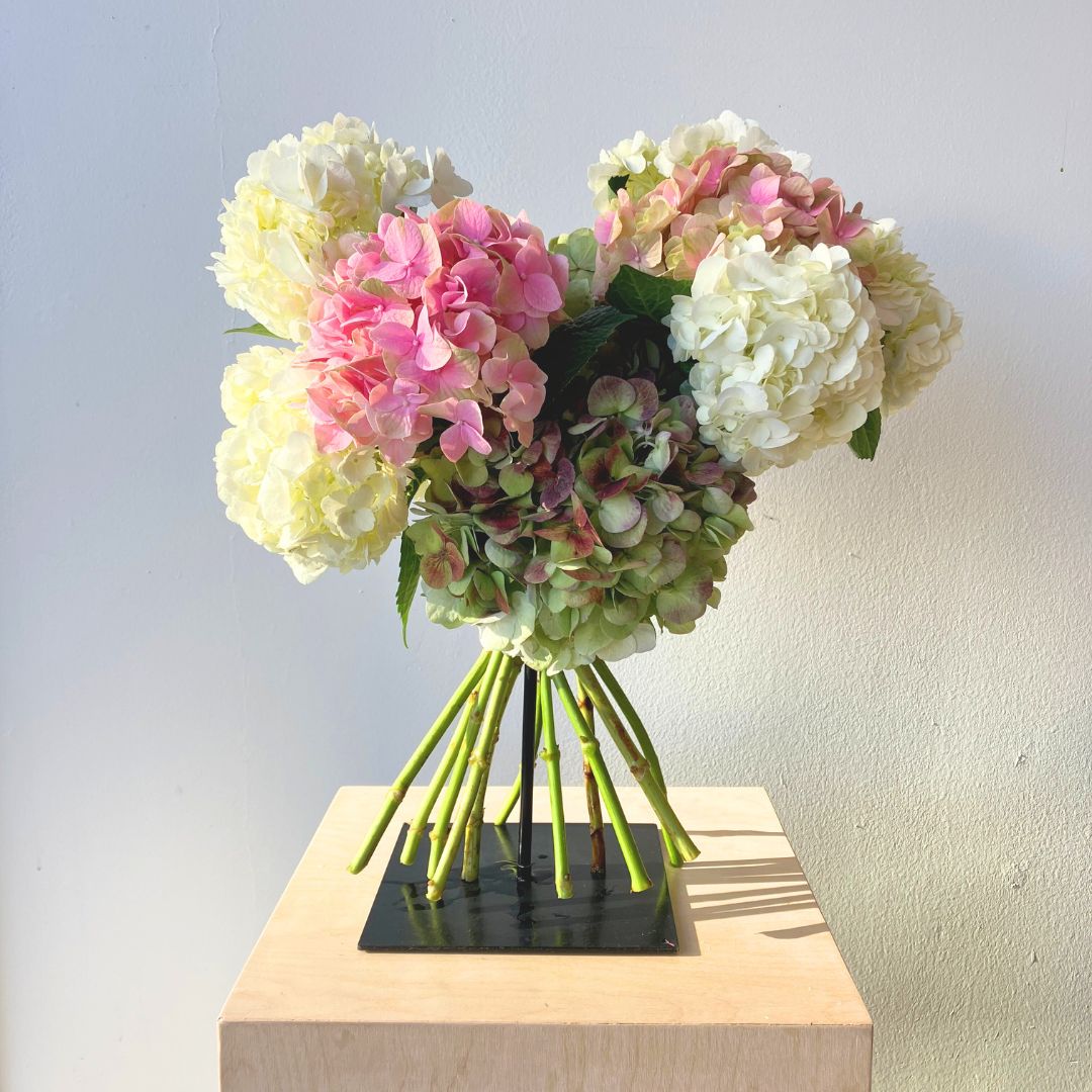 Valentine's Hydrangea Hand - tied Bouquet - Bloomfields