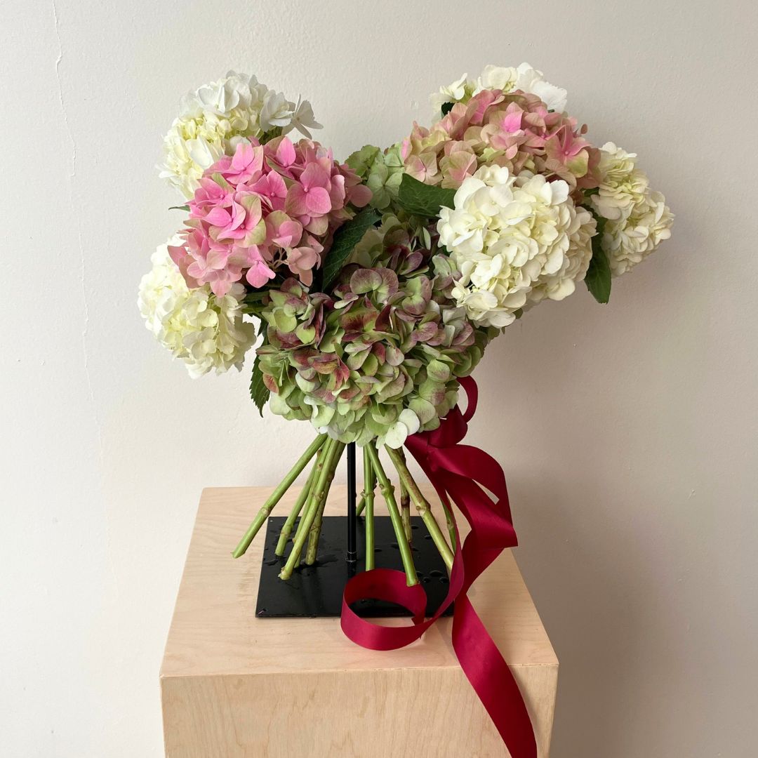 Valentine's Hydrangea Hand - tied Bouquet - Bloomfields